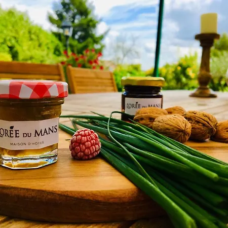 L'oree Du Mans Gæstehus 4*