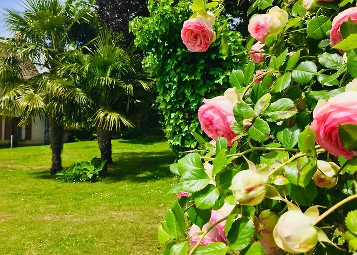 L'oree Du Mans 4* Sillé-le-Philippe